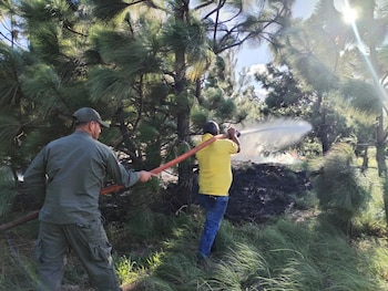 El incendio fue contenido a pocos metros del Parque Nacional Volcán Barú, evitando que alcanzara uno de los principales bosques protegidos de Panamá. Tomada de MiAmbiente