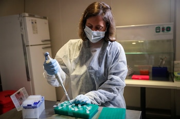 Argentina mantiene el estatus de