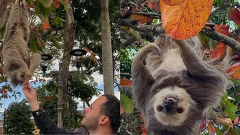 En algún punto llegaron a