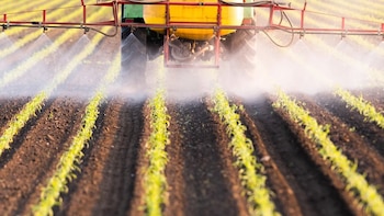 Prohíben en EEUU un pesticida