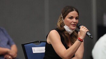 Cecilia Patron, diputada del PAN,