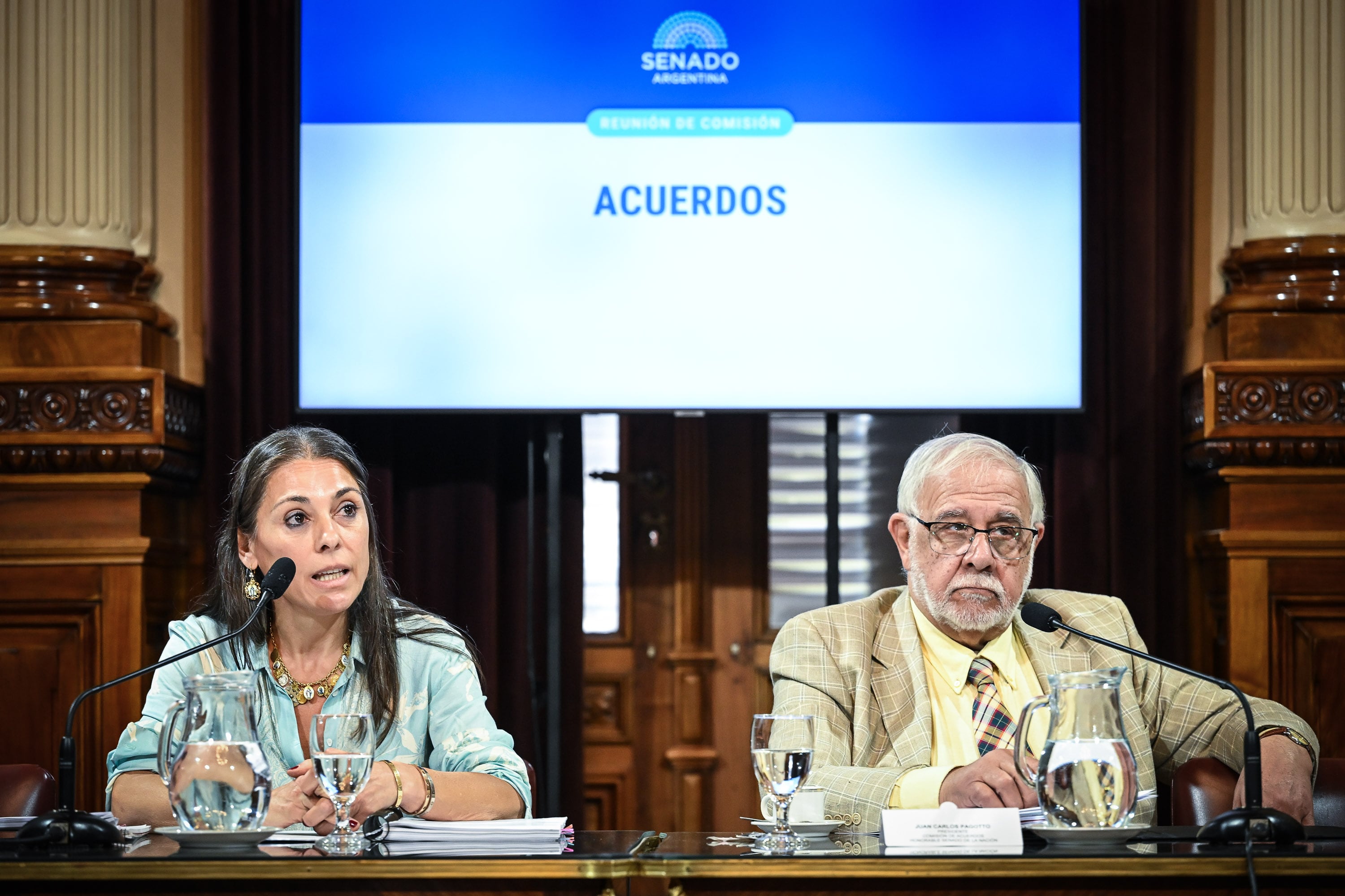 Está prevista una sesión en la cámara alta para la segunda semana de abril (Fotos: Santiago Pezzini / Comunicación Senado)