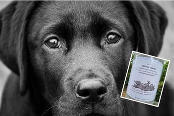 Inescrupulosos amenazan con un envenenamiento