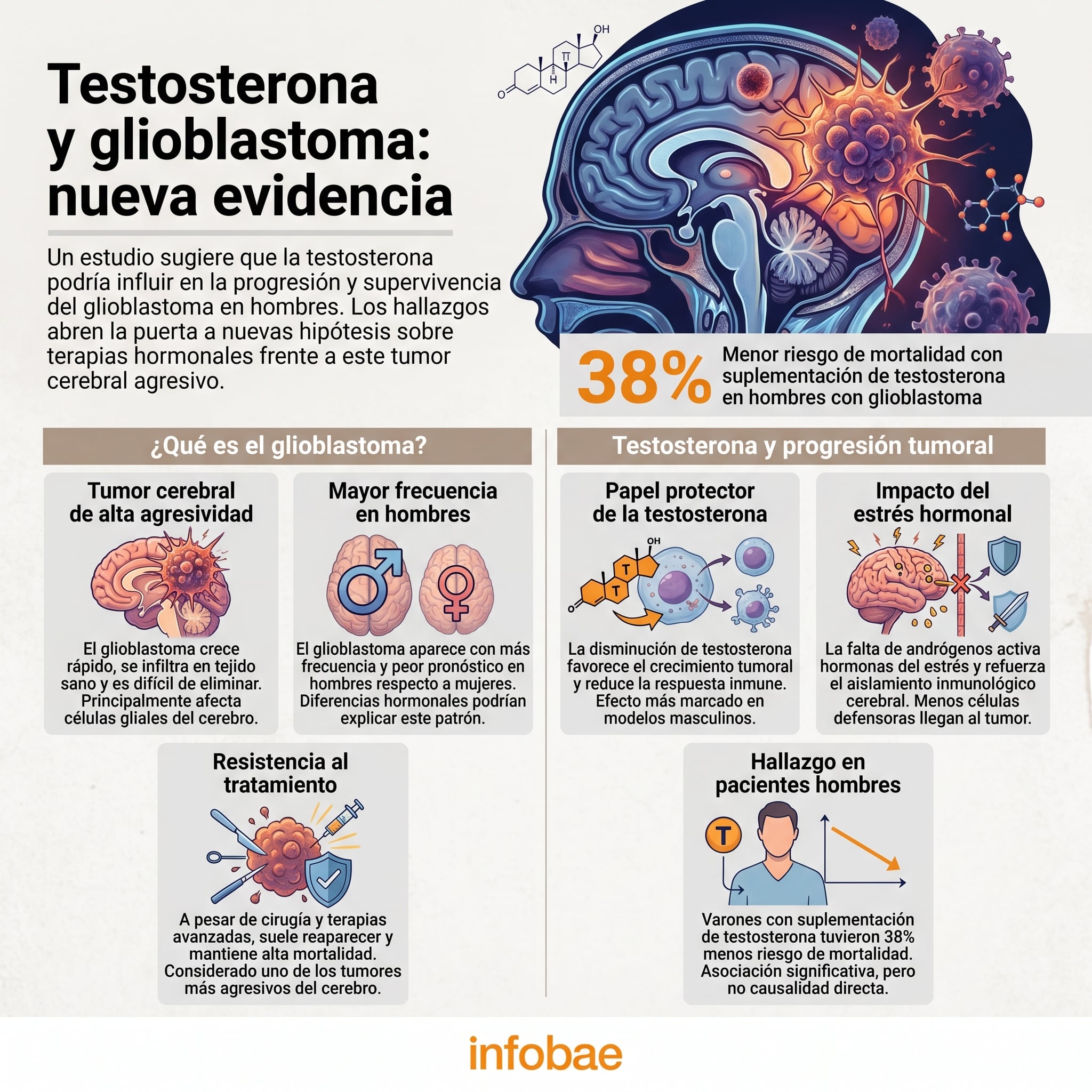 Una investigación del NIH y Cleveland Clinic sugiere que la testosterona podría tener efecto protector frente al glioblastoma en hombres, según datos clínicos y preclínicos (Imagen Ilustrativa Infobae)