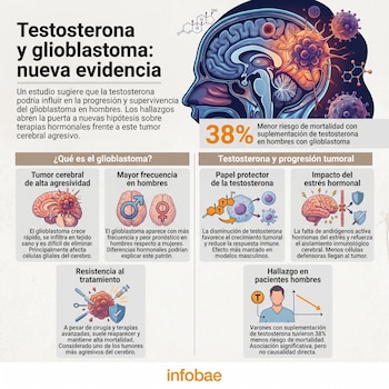 Infografía sobre testosterona y glioblastoma. Muestra un cerebro con un tumor, la molécula de testosterona, y paneles informativos con gráficos e iconos.