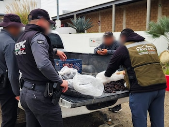 Las acciones oficiales permitieron la