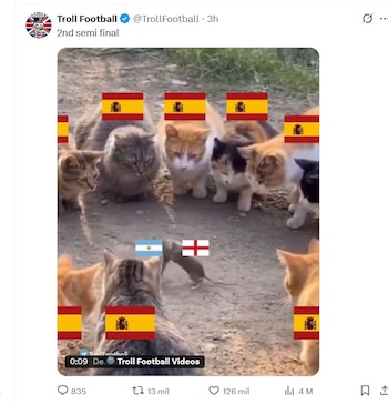 Nueve gatos con banderas de España. Un gato con bandera de Argentina y un ratón con bandera de Inglaterra. Fondo de tierra