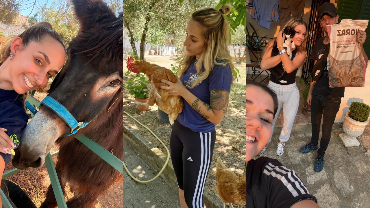 “Mucha gente tuvo que dejar en casa gatos, perros, burros, gallinas o tortugas”: los incendios en Madrid y Ávila movilizan a voluntarios para salvar a los animales