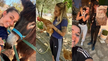 “Mucha gente tuvo que dejar en casa gatos, perros, burros, gallinas o tortugas”: los incendios en Madrid y Ávila movilizan a voluntarios para salvar a los animales