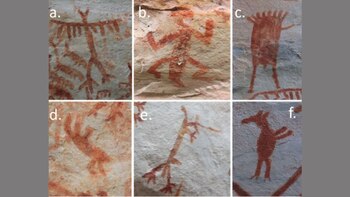 Distintos híbridos humano-animal identificados en