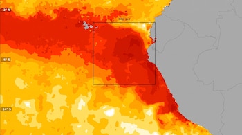 Mapa del océano Pacífico con contornos de temperatura en rojo y amarillo. Costa de Sudamérica y Galápagos visibles. Coordenadas: 2° N, 6° S, 14° S. Etiqueta: MND 1+2