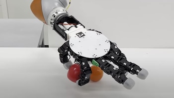 Investigadores de Suiza y el