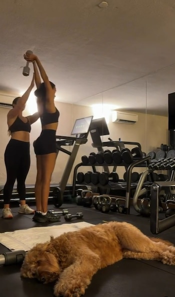 Dos mujeres en ropa deportiva; una levanta una pesa asistida por la otra. Un perro marrón descansa en el suelo. Al fondo hay equipos de gimnasio y un espejo
