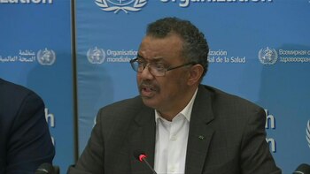 La Organización Mundial de la