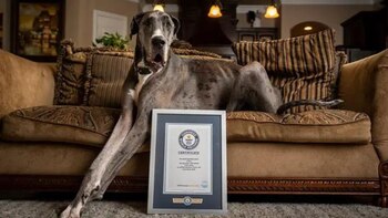 La dueña agradeció los esfuerzos