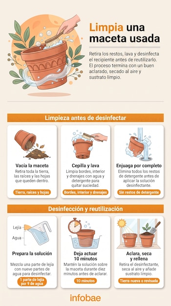 Infografía con ilustraciones de una mano lavando una maceta de barro y seis recuadros con pasos para vaciar, lavar y desinfectar el recipiente.