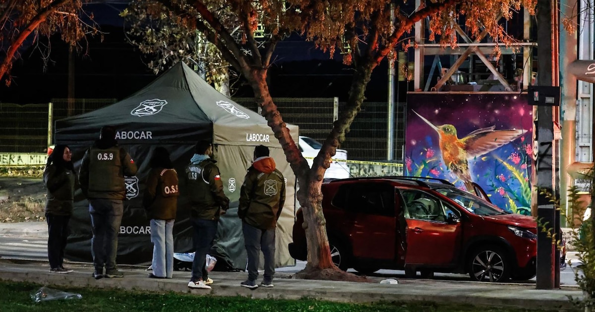 Chilean commotion for the death of 12-year-old in a brutal assault