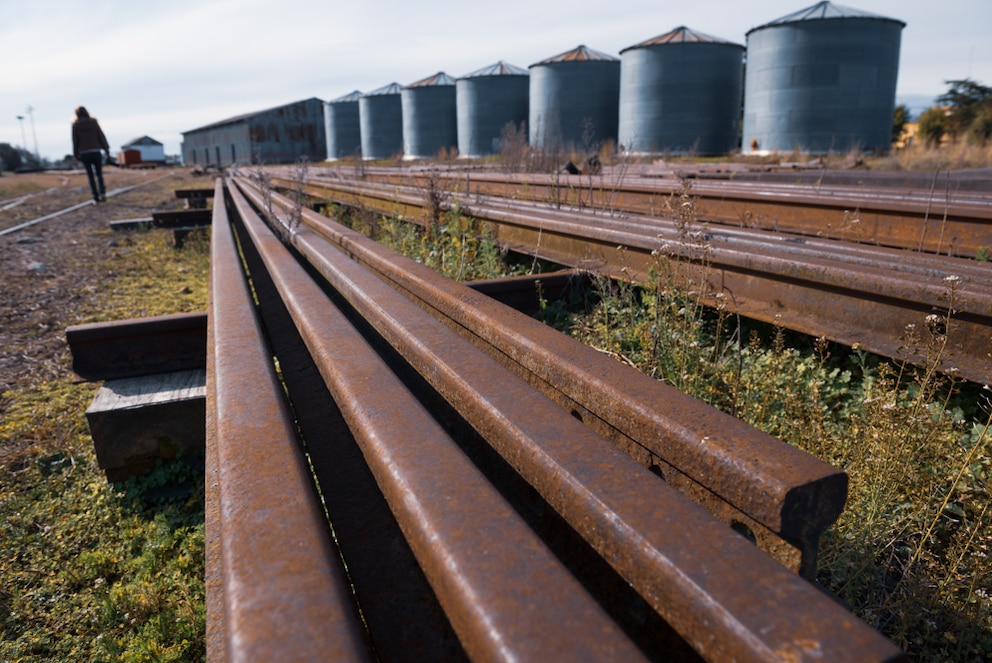 Agroexportaciones en agosto: leve retroceso mensual, pero el acumulado anual sigue en alza
