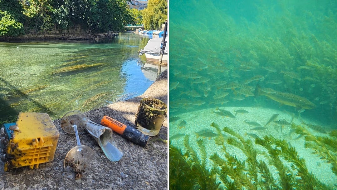 El ejercicio, realizado durante 30 minutos a comienzos del verano, expuso la magnitud de la basura en el canal de Zúrich y motivó una campaña personal (Mischa Gurov)