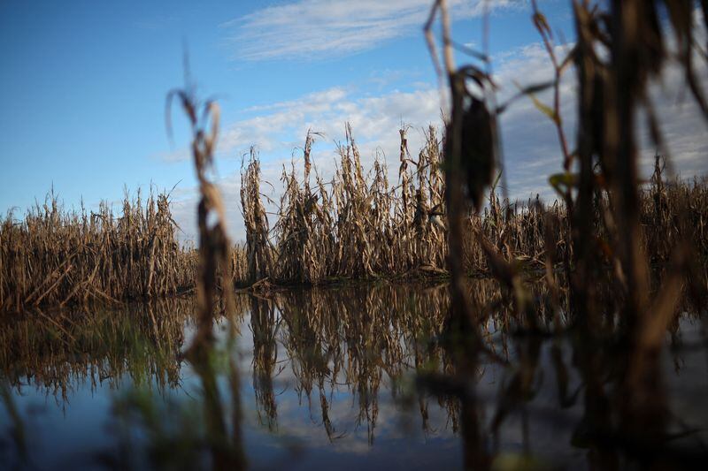 La caída de agua en la provincia de Buenos Aires llegó a niveles históricos y provocó inundaciones en el centro y oeste bonaerenses (REUTERS/Agustín Marcarian)