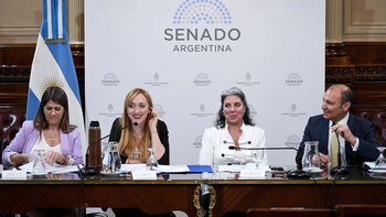 Volvieron a tener dictamen los