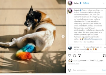 J Balvin responde a críticas