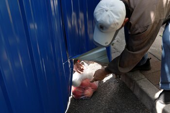 Un hombre entrega una bolsa