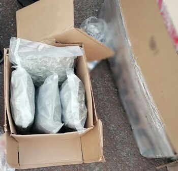 El conductor encargado dela unidad