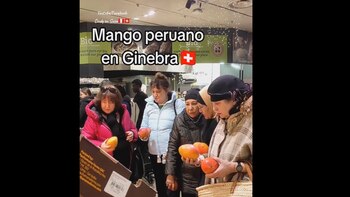 El mango, fruto tropical de
