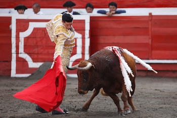 El torero español, Talavante durante