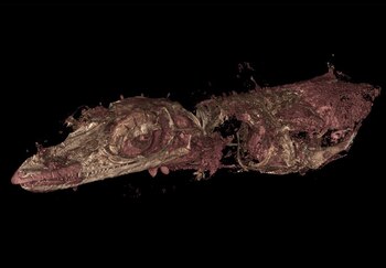 15-06-2021 Aspecto de la nueva