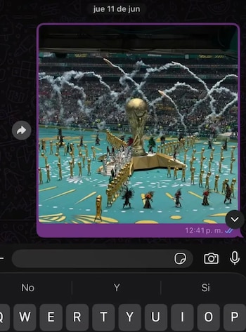 La foto de la inauguración del Mundial 2026 que la entrenadora envió a su cliente y desató la polémica (TikTok)