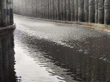 Vialidades inundadas en Zapopan.
(@JaliscoVial)
