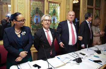 La viceministra de Asuntos Multilaterales,