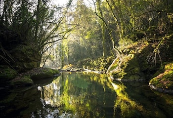 Camino a Poço Pé do