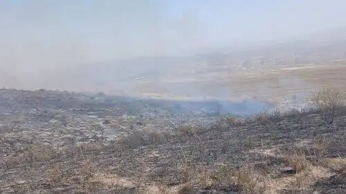 Incendio forestal. (Foto: Andina)