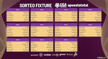 Fixture de la Liga Femenina