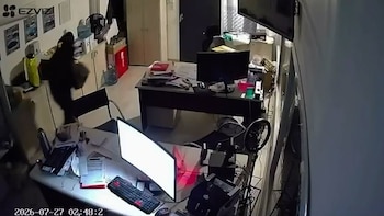 Robo boquetero en Bahía Blanca: entraron por el techo, fueron directo a las cajas fuertes y escaparon en menos de tres minutos