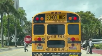 Parte trasera de un autobús escolar amarillo con el letrero de "STOP" extendido y luces rojas intermitentes en una calle urbana, con peatones cerca y palmeras al fondo