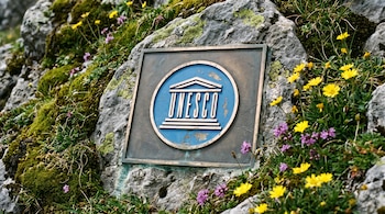 Placa metálica cuadrada con el logo de UNESCO en azul, rodeada de rocas grises cubiertas de musgo verde y pequeñas flores amarillas y lilas.