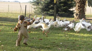 El uso de antibióticos en