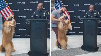 El perro durante la ceremonia