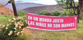Bandera de Socorristas en Red