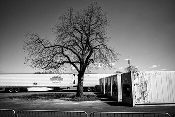 Camiones de refrigeración fueron utilizados