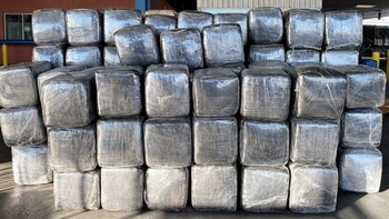 Marihuana decomisada en Nuevo Laredo,