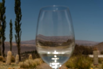 La Ruta del Vino en los Valles Calchaquíes es uno de los principales atractivos turísticos de Salta (Ministerio de Turismo y Deportes Salta)