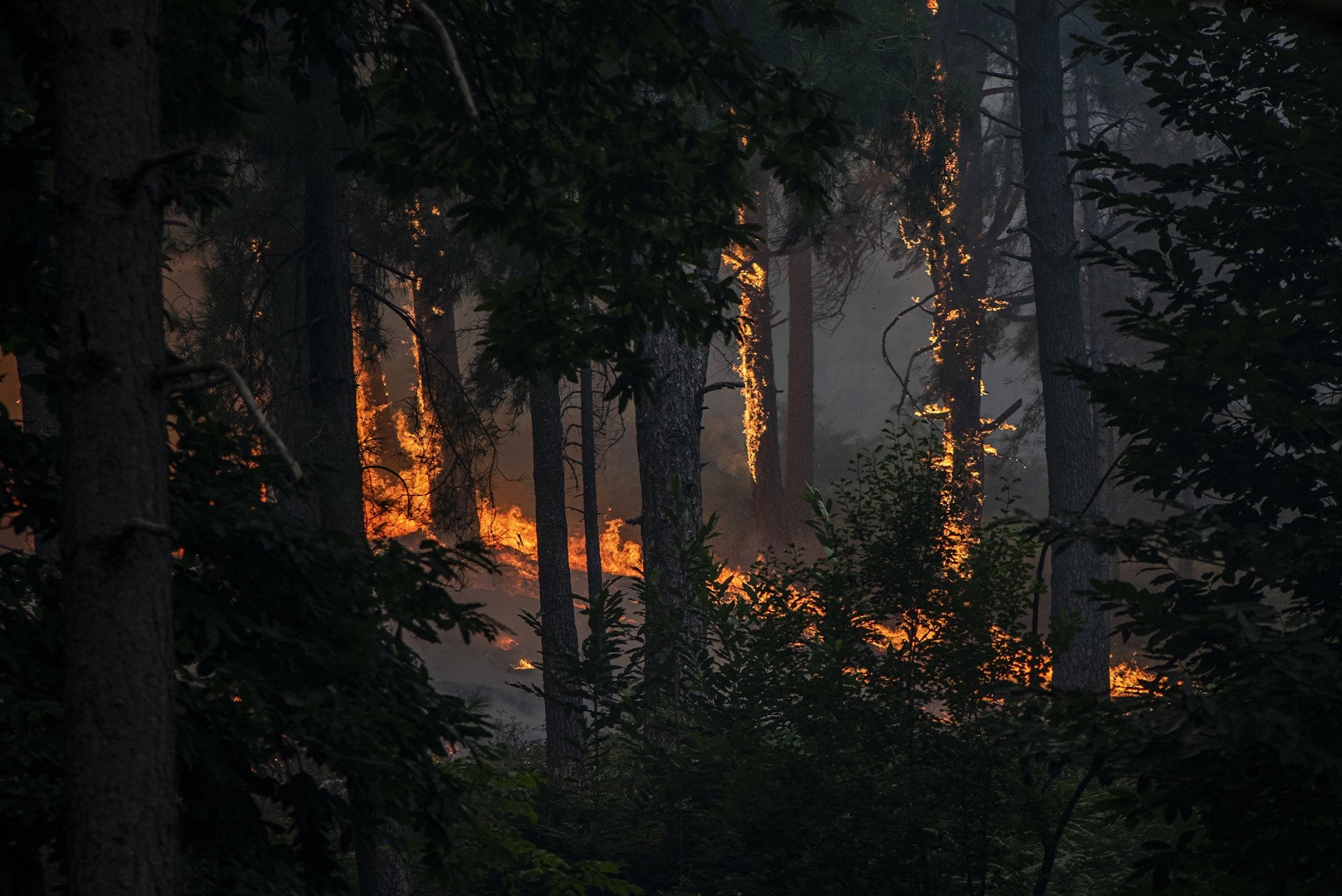 Médicos internistas reclaman un plan nacional contra incendios que refuerce la capacidad asistencial en estos episodios