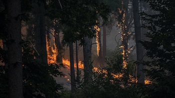 Médicos internistas reclaman un plan nacional contra incendios que refuerce la capacidad asistencial en estos episodios