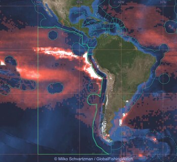 Área analizada de presencia y