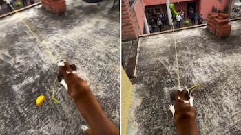 Perrito se convierte en el cómplice de la piñata y hace de todo para que no la rompan: video causa furor